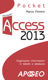 Access 2013