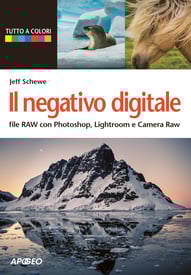 Il negativo digitale