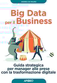 Big Data per il Business – copertina