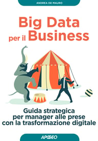 Big Data per il Business – copertina