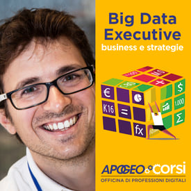 big-_data_executive-home