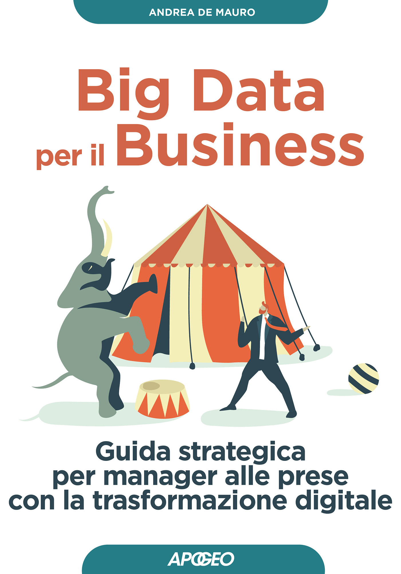 Big Data per il Business – copertina