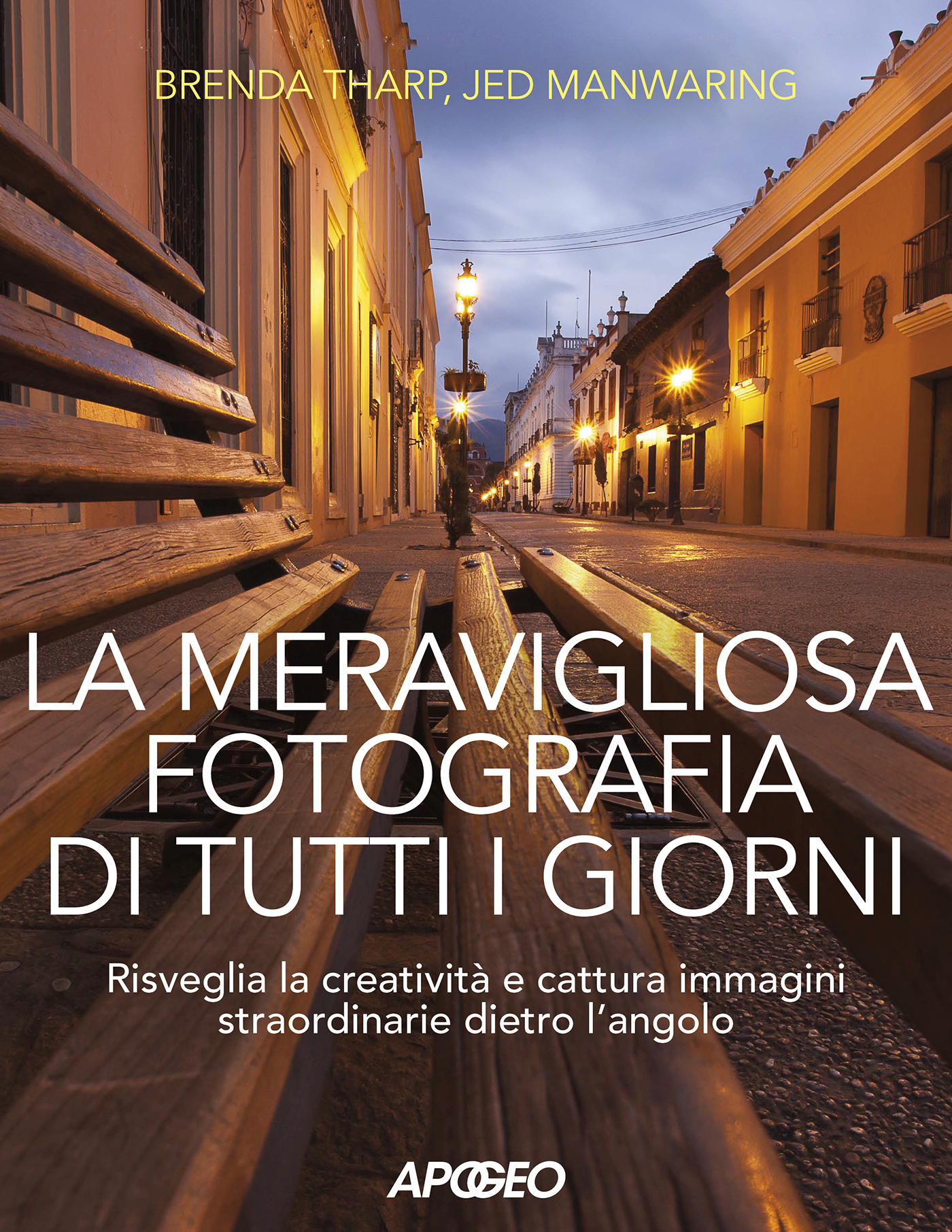 La meravigliosa fotografia di tutti i giorni – copertina