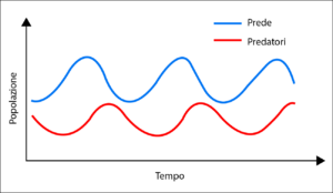 Andamento prede-predatori