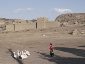 Bambina che gioca con le sue oche in un piccolo paesino in Turchia