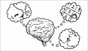 Che cosa sono le neuroscienze - cervello e tre sensi