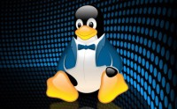 Linux formato business