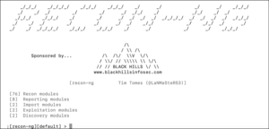 L'interfaccia di Recon-ng