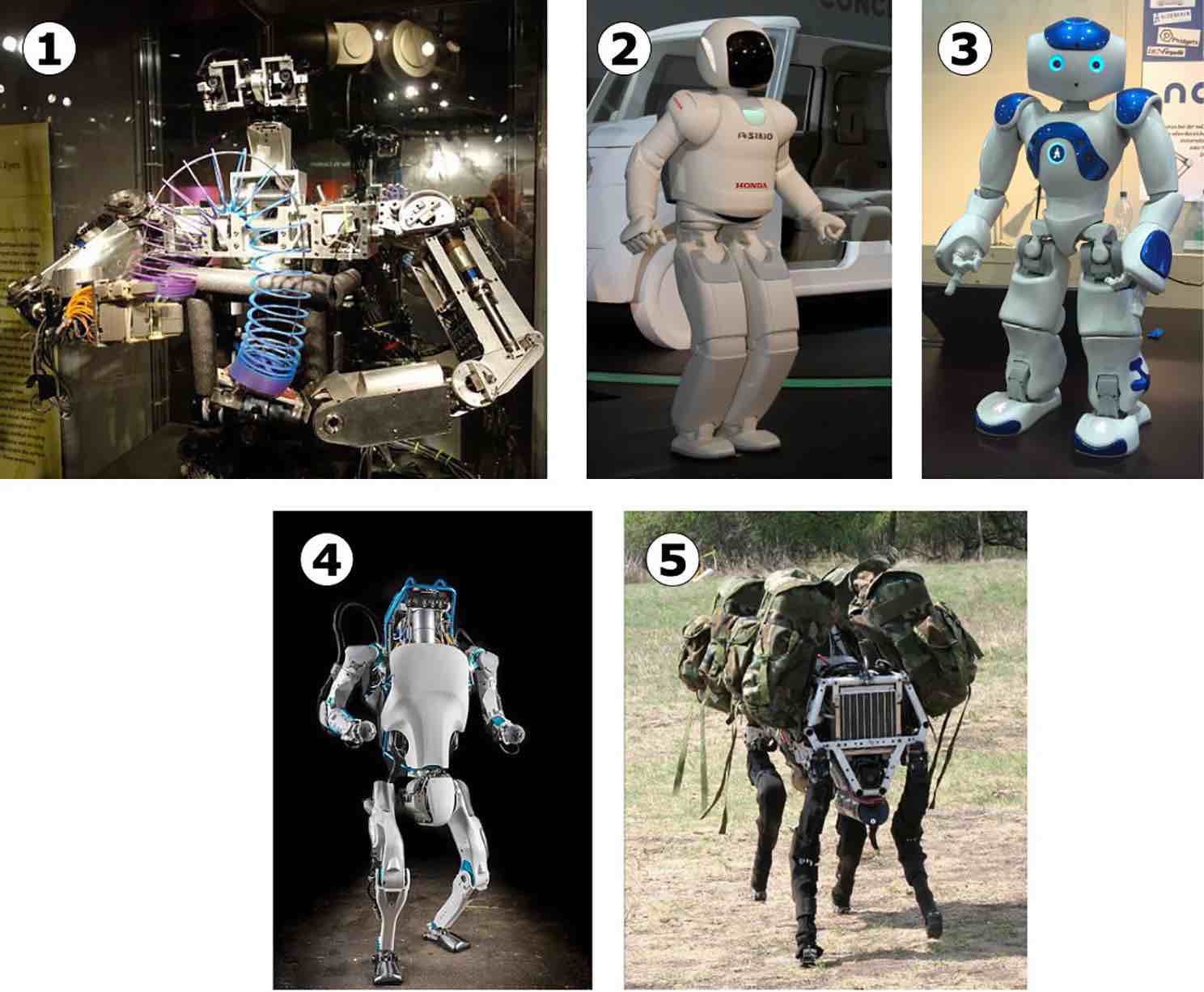 Una selezione di robot simili a essere umani o animali