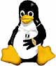 Bilancio 2000 per Linux e Open Source (prima parte)