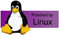 Linux: i big dell’high-tech sempre più convinti