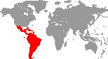 Nasce il LACTLD, che raggruppa i paesi latino-americani nell’ICANN