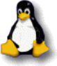 Linux sempre più vicino ai database