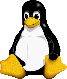 Linux poco diffuso nelle aziende? Falso!