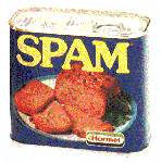 Raddoppiato in un anno il livello di spam su Internet
