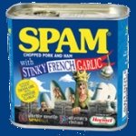 Venticinque anni di spam