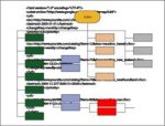 XML Sitemaps: mappe semantiche per i siti web