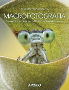 macrofotografia, di Alberto Ghizzi Panizza