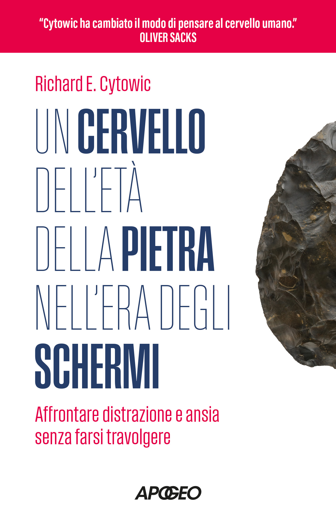 un-cervello-dell-eta-della-pietra-nell-era-degli-schermi
